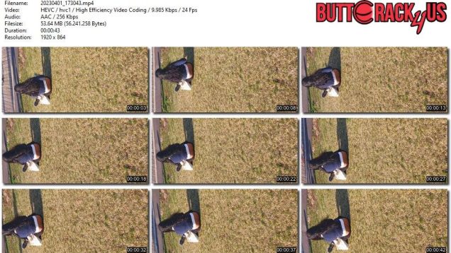 33731abc-e16b-11ed-86d3-0800275bf759