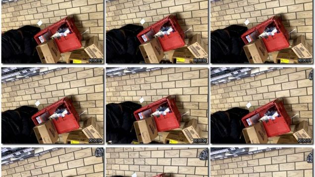 3536b356-e169-11ed-86d3-0800275bf759