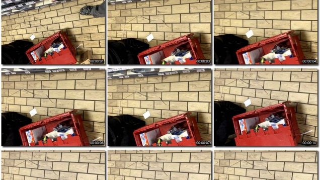 4487b8f0-e169-11ed-86d3-0800275bf759