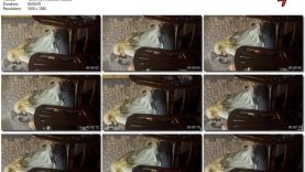 050d804c-03a1-11ee-86d3-0800275bf759