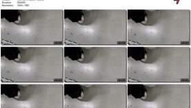 3b4f5662-03a1-11ee-86d3-0800275bf759