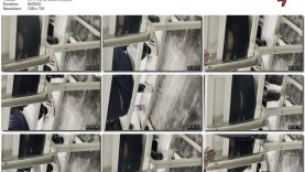 4933555a-039f-11ee-86d3-0800275bf759