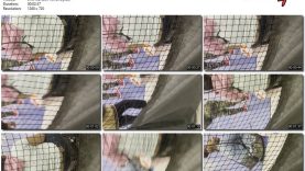 4b511804-039f-11ee-86d3-0800275bf759