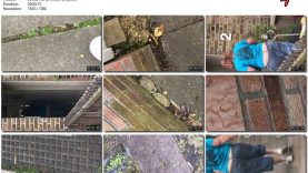 59949182-03a1-11ee-86d3-0800275bf759