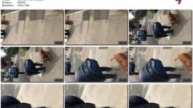 871f5088-03a1-11ee-86d3-0800275bf759