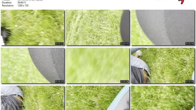 cb230344-039f-11ee-86d3-0800275bf759