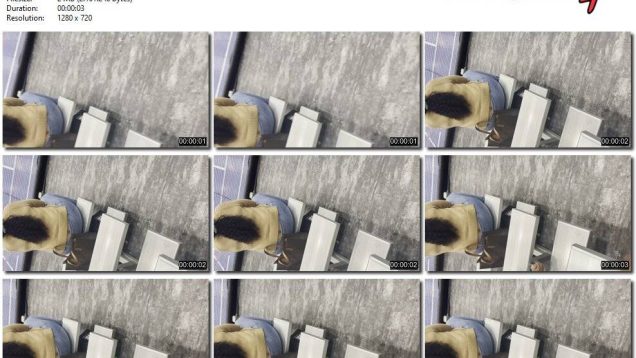 d994d01a-039f-11ee-86d3-0800275bf759