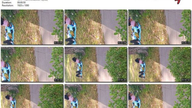 59640338-2178-11ee-86d3-0800275bf759