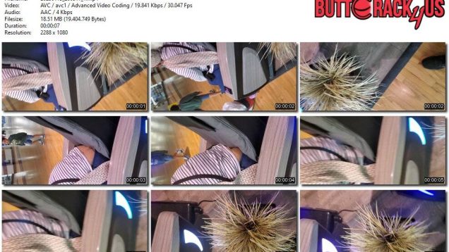 61370fe0-217a-11ee-86d3-0800275bf759