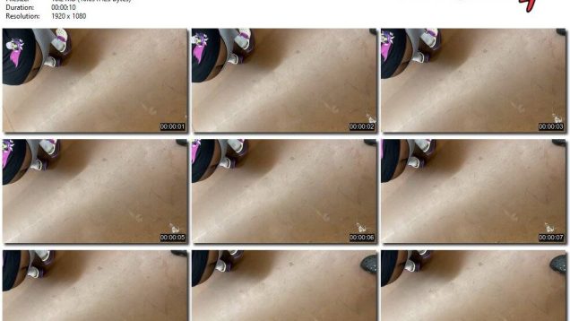 1068d236-3f81-11ee-86d3-0800275bf759