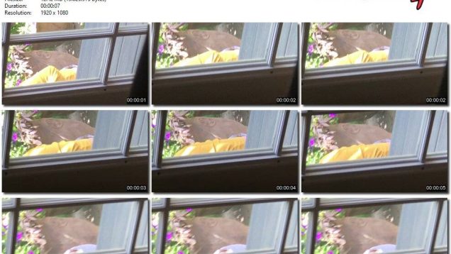 4687a424-3f80-11ee-86d3-0800275bf759