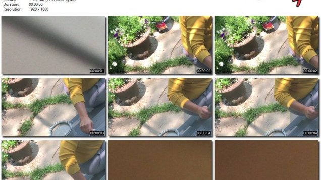 49b2cb7e-3f80-11ee-86d3-0800275bf759