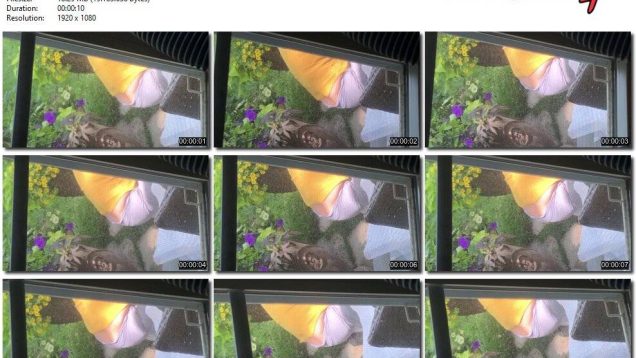 52d75a9e-3f80-11ee-86d3-0800275bf759