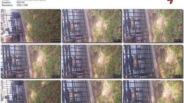 05a5f500-6393-11ee-86d3-0800275bf759