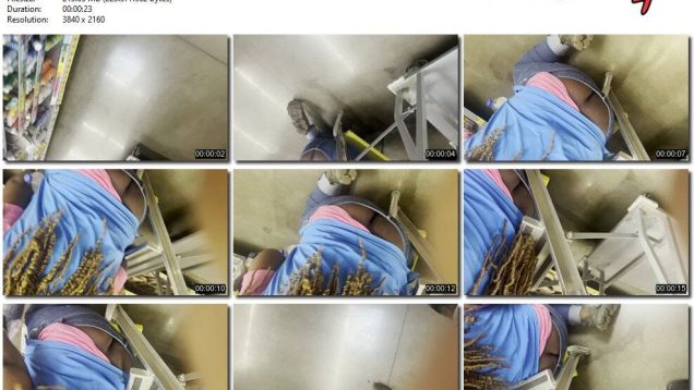 1ae0a9fe-6390-11ee-86d3-0800275bf759