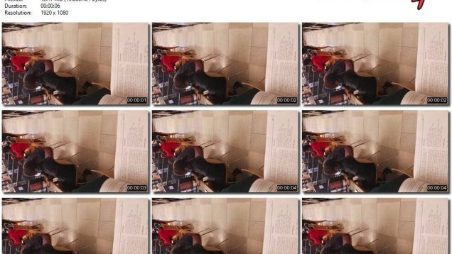 8b475b38-6391-11ee-86d3-0800275bf759