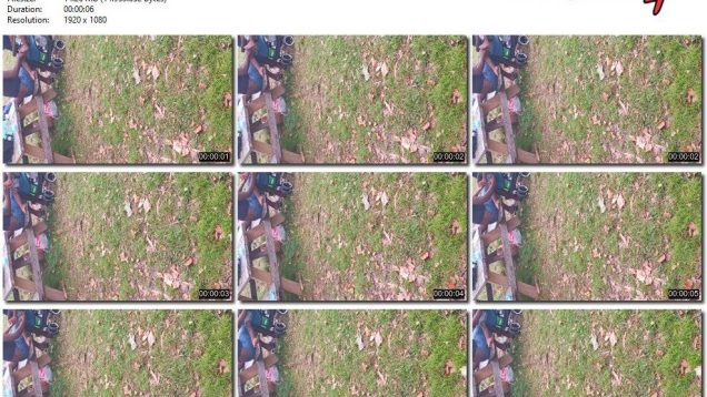 943e5642-6391-11ee-86d3-0800275bf759