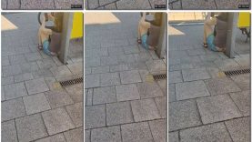 10726081-9076-11ee-86d3-0800275bf759