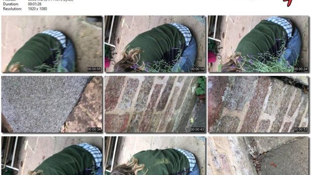 52907ce0-9076-11ee-86d3-0800275bf759