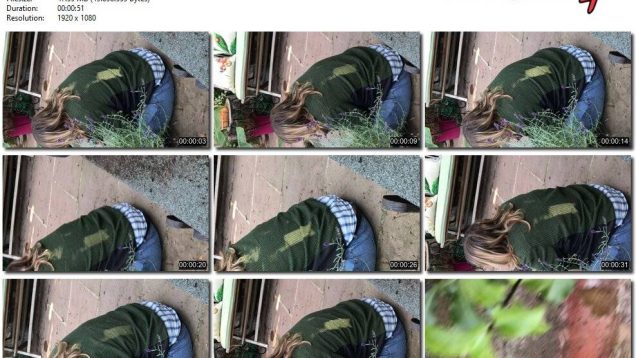 98809122-9076-11ee-86d3-0800275bf759