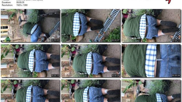 afbd1356-9076-11ee-86d3-0800275bf759