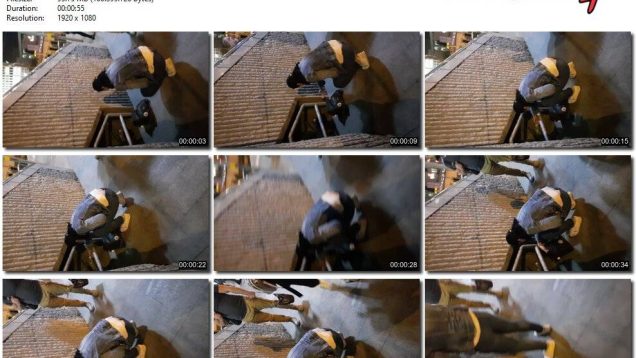 71ca0232-bed1-11ee-86d3-0800275bf759