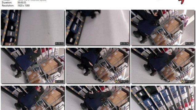 c3169a5c-bed0-11ee-86d3-0800275bf759