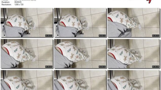 0ea9d41a-d98a-11ee-86d3-0800275bf759