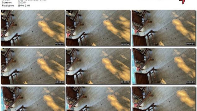 6919aeb2-d989-11ee-86d3-0800275bf759