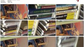 9159c652-d987-11ee-86d3-0800275bf759