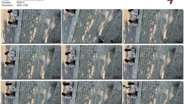 9312f570-d989-11ee-86d3-0800275bf759