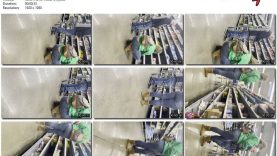 b718368e-d96f-11ee-86d3-0800275bf759