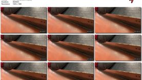 cc7aff12-d987-11ee-86d3-0800275bf759