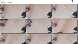 dc544e66-d96e-11ee-86d3-0800275bf759