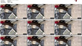 ee0b7332-d987-11ee-86d3-0800275bf759