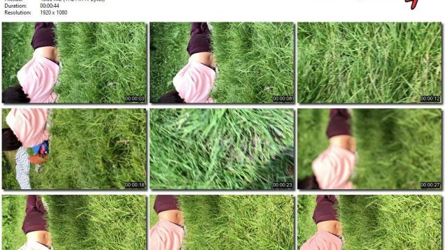 fe354dec-d986-11ee-86d3-0800275bf759