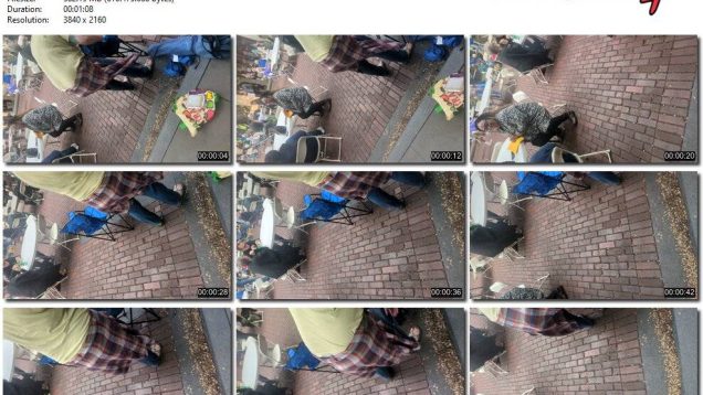 73334598-2b55-11ef-86d3-0800275bf759