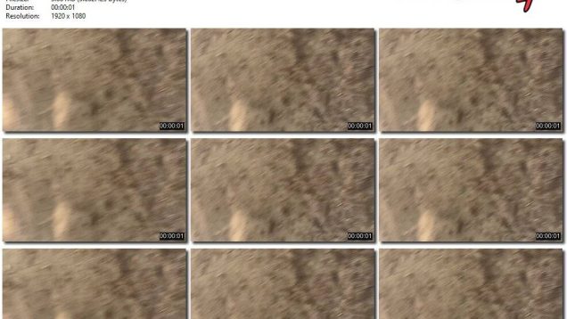 880a3d28-2b5a-11ef-86d3-0800275bf759