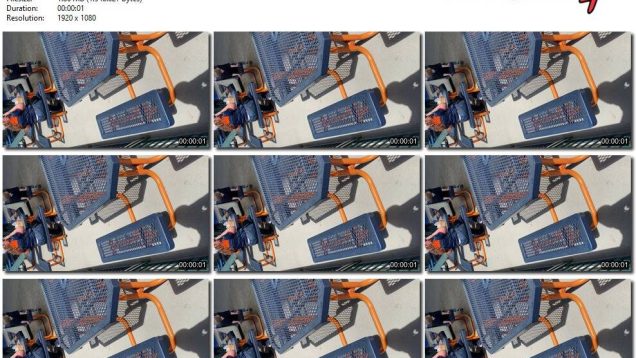 8baf8d10-2b56-11ef-86d3-0800275bf759