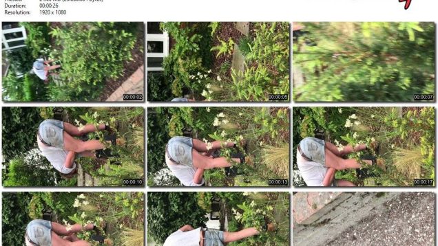 910d4798-2b56-11ef-86d3-0800275bf759