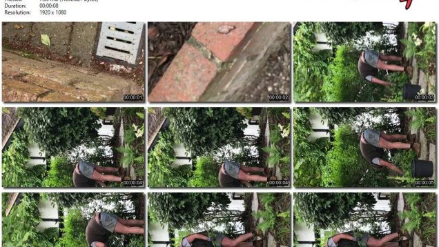 94ac0f1a-2b56-11ef-86d3-0800275bf759