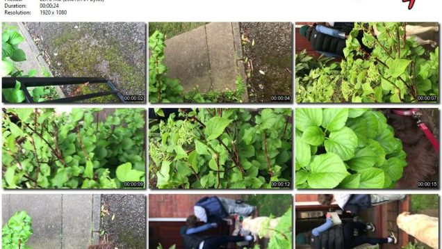 974a4502-2b56-11ef-86d3-0800275bf759