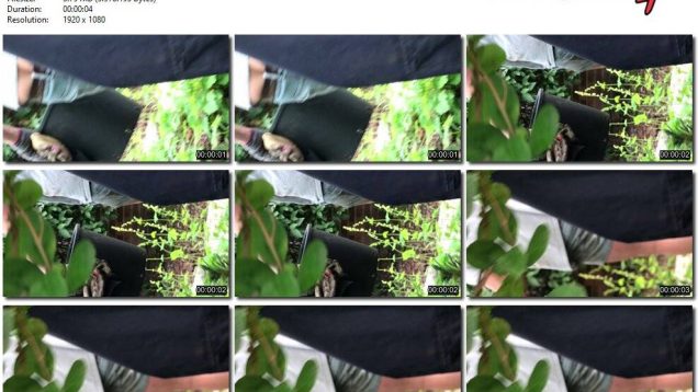 b44ba5d8-2b56-11ef-86d3-0800275bf759