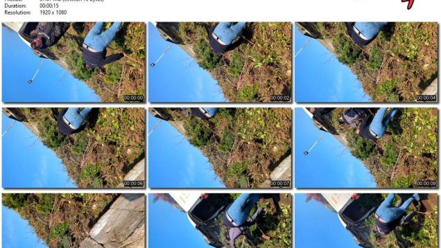 b84a78e4-2b56-11ef-86d3-0800275bf759