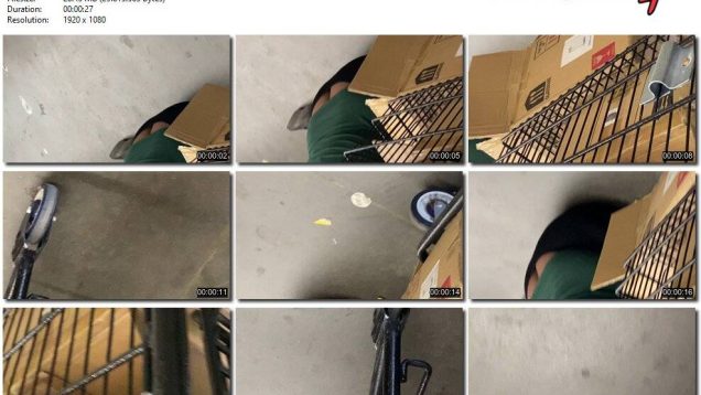 b84fc294-2b57-11ef-86d3-0800275bf759