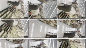 0a647c3a-60c0-11ef-86a2-0800275bf759