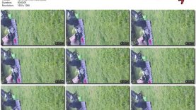 38842706-60bf-11ef-86a2-0800275bf759