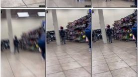 4ee7e266-60c0-11ef-86a2-0800275bf759