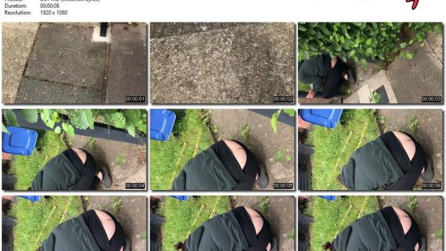 51cf37b6-60bd-11ef-86a2-0800275bf759