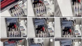 569a1740-60c0-11ef-86a2-0800275bf759